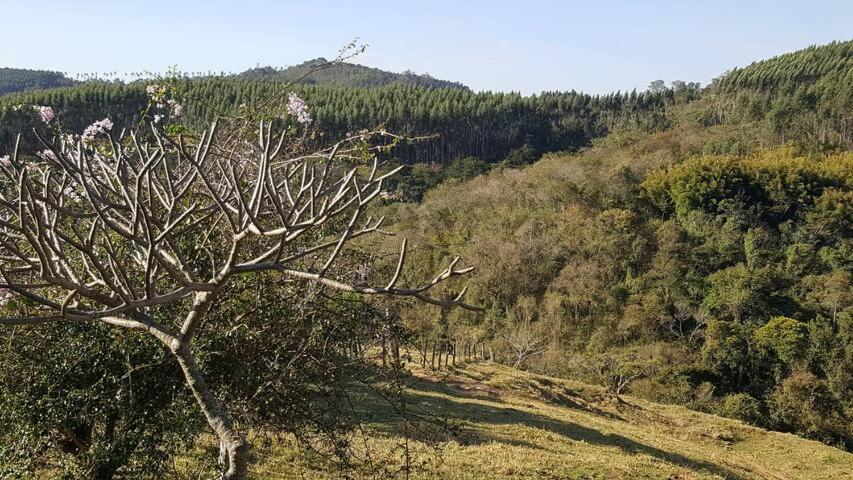Sitio Alvorada - Paraiso Localizado No Circuito Das Aguas Paulista Amparo  Exteriér fotografie